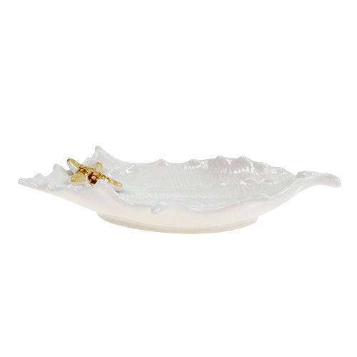 Floristik24 Ciotola con guscio decorativo con stelle marine 22 cm
