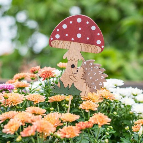 Floristik24 Tasselli decorativi, decorazione autunnale in legno, riccio con fungo H11cm L34cm 12pz