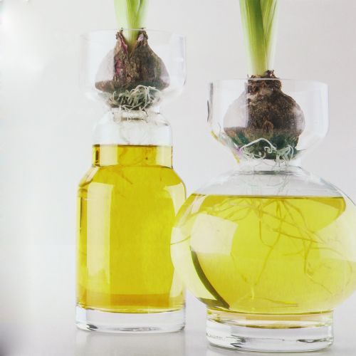 Floristik24 Acqua decorativa gialla 150ml