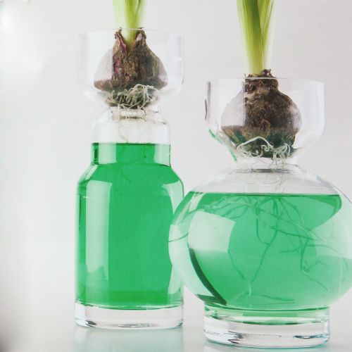 Floristik24 Acqua decorativa verde 150ml