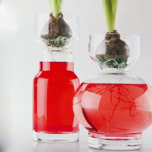 Floristik24 Deco rosso acqua 150 ml