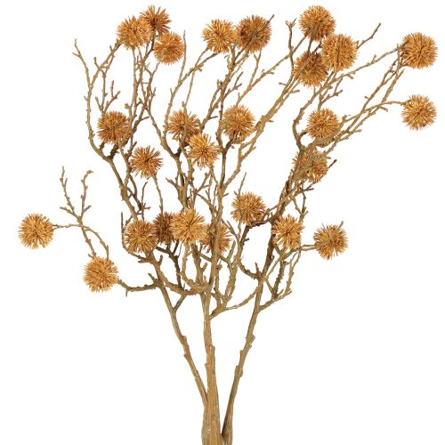 Ramo decorativo di liquidambar, decorazione di frutta marrone ocra 48cm