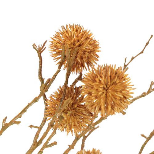 Prodotto Ramo decorativo di liquidambar, decorazione di frutta marrone ocra 48cm