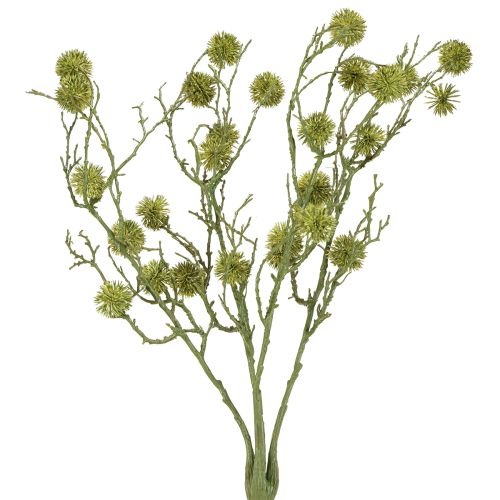 Ramo decorativo di liquidambar, frutti verde chiaro 48 cm