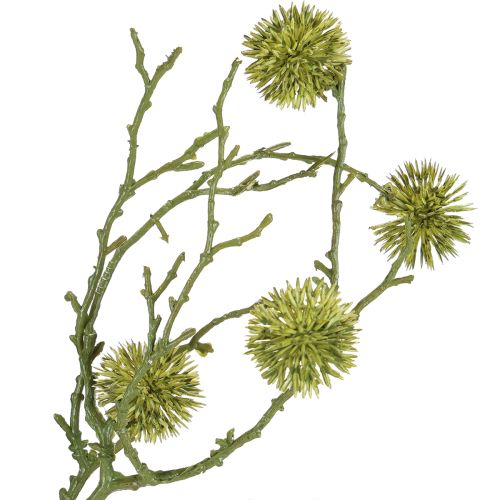Prodotto Ramo decorativo di liquidambar, frutti verde chiaro 48 cm