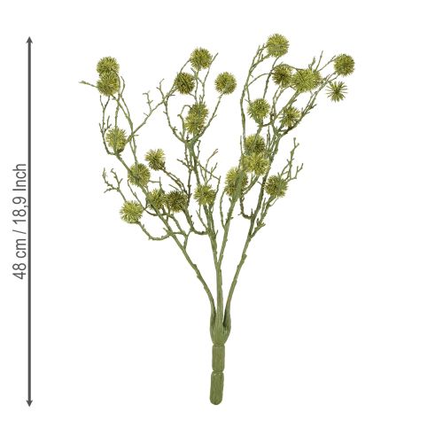 Prodotto Ramo decorativo di liquidambar, frutti verde chiaro 48 cm