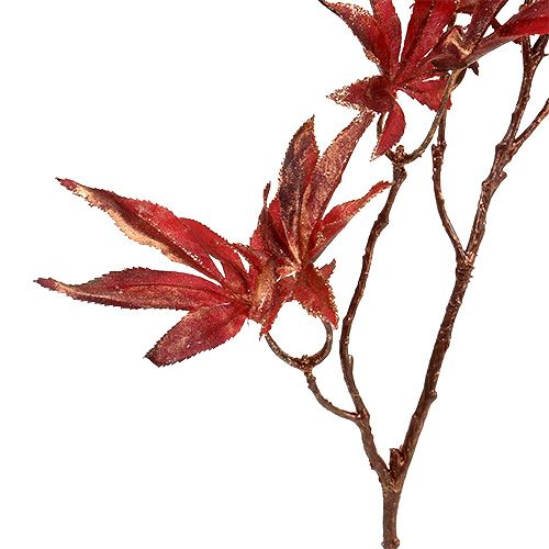 Floristik24 Ramo decorativo rosso scuro con mica 52 cm