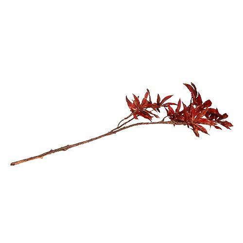 Floristik24 Ramo decorativo rosso scuro con mica 52 cm