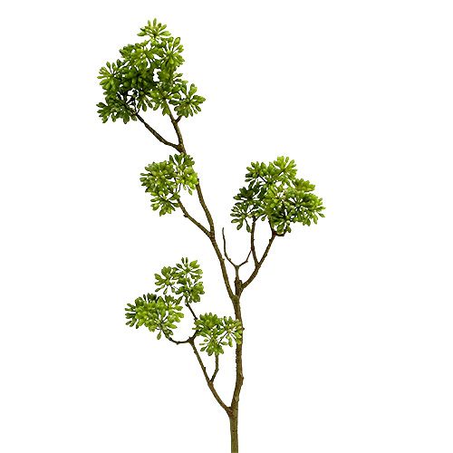 Floristik24 Ramo decorativo verde 80 cm