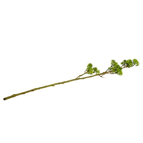 Floristik24 Ramo decorativo verde 80 cm