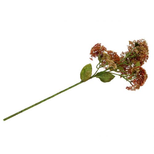 Prodotto Ramo decorativo Fetthenne Bordeaux, giallo 58cm