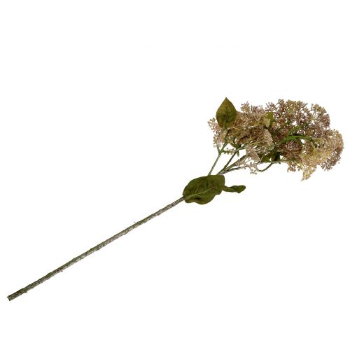 Prodotto Ramo decorativo Fetthenne rosa chiaro 58cm