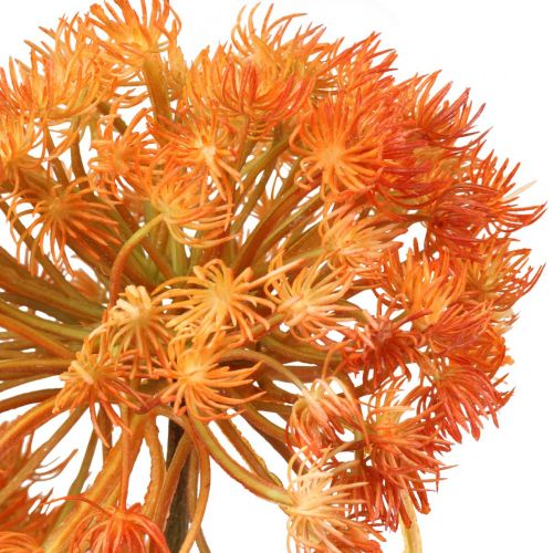 Prodotto Ramo decorativo ramo artificiale decorazione autunnale 2 infiorescenze arancio 82cm