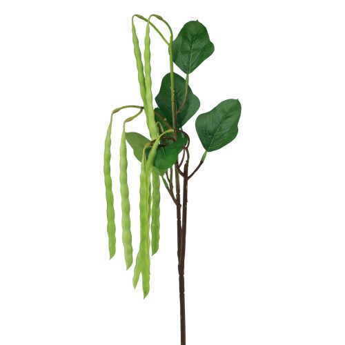 Ramo decorativo ramo di fagiolo pianta artificiale verde 68 cm