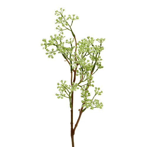 Floristik24 Deco ramo verde L43cm 4 pezzi