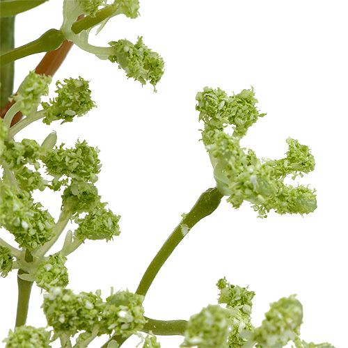 Floristik24 Deco ramo verde L43cm 4 pezzi