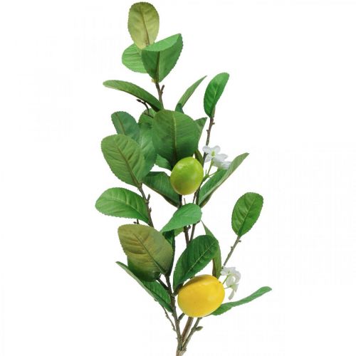 Prodotto Ramo di limone decorativo con fiori e frutti H68cm