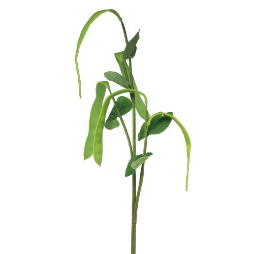 Prodotto Ramo decorativo ramo di fagiolo pianta artificiale verde 95 cm