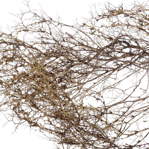 Prodotto Rami decorativi Rami di cespuglio di ferro decorazione naturale legno natura 250g