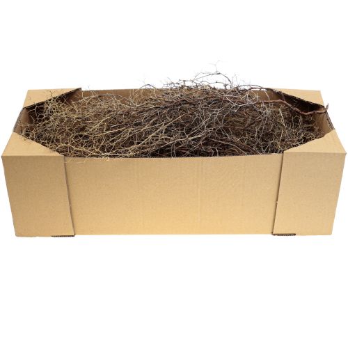 Prodotto Rami decorativi Rami di cespuglio di ferro decorazione naturale legno natura 250g
