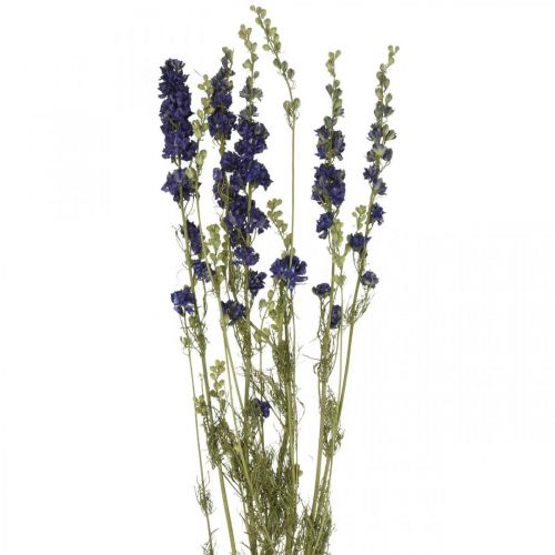 Floristik24 Delphinium essiccato, floristica secca, blu delphinium L64cm 25g