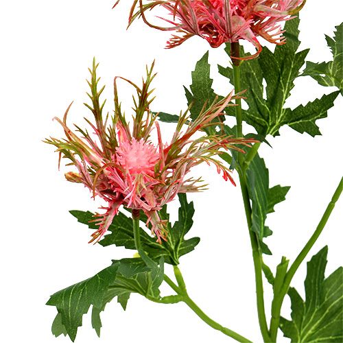 Floristik24 Ramo di cardo rosa, verde L67cm 4 pezzi