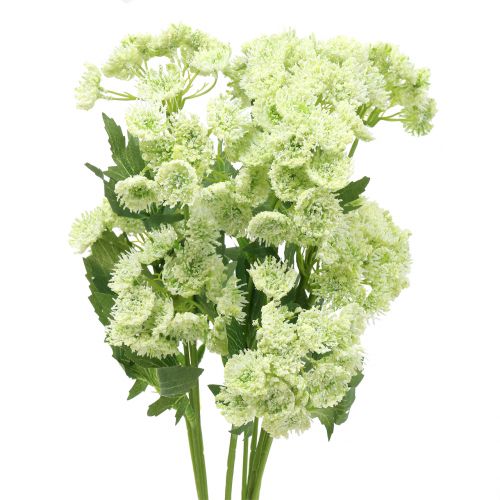 Floristik24 Aneto artificiale bianco 49 cm 6 pezzi