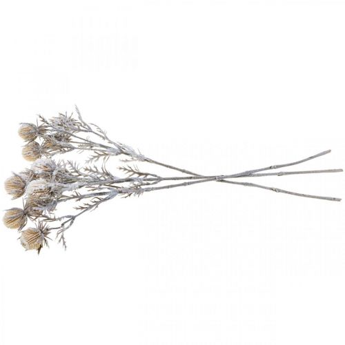 Floristik24 Ramo di cardo ramo decorativo ghiacciato artificialmente invernale 55 cm 3 pezzi