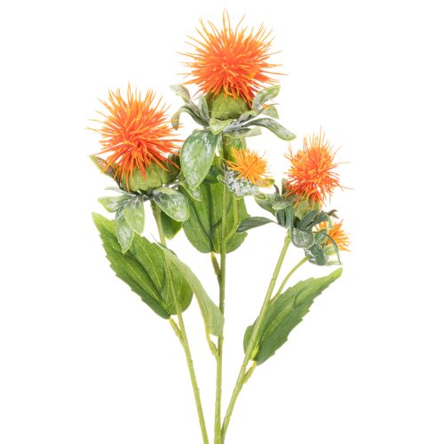Cartamo arancione artificiale, fiore artificiale per vasi e decorazioni, 55 cm, 4 pezzi | Floristik24.it
