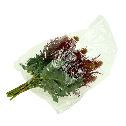 Floristik24 Cardo rosso-verde 20cm 12pz