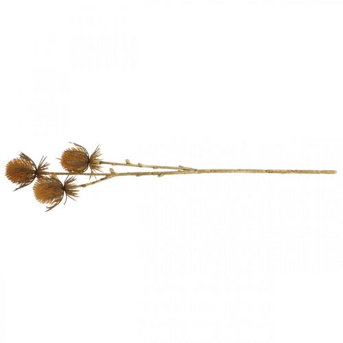 Prodotto Ramo di cardo Marrone Pianta artificiale Decorazione autunnale 38 cm Pianta artificiale come la cosa reale!