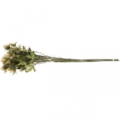 Cardo PIANTA PIANTINA FINTA ARTIFICIALE CON VASO 18 CM VARI COLORI ANS-820946 