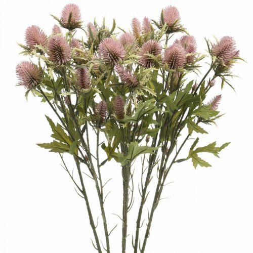 Fiore di stelo artificiale di cardo rosa 10 teste di fiori 68 cm 3 pezzi
