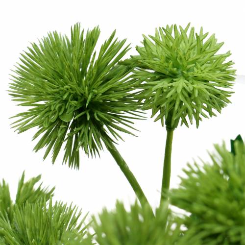 Floristik24 Fiore di seta cardo verde 56 cm 3 pezzi