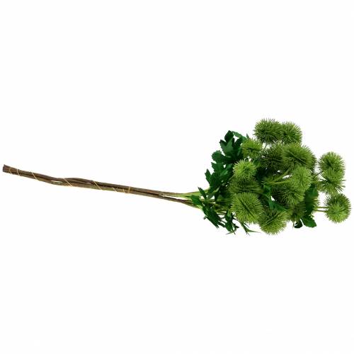 Floristik24 Fiore di seta cardo verde 56 cm 3 pezzi