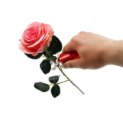 Floristik24 Dethorner per rose
