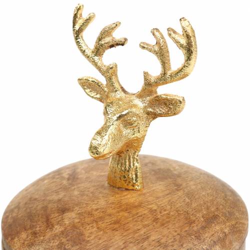 Floristik24 Scatola di legno di mango con testa di cervo dorata Ø10cm H15cm
