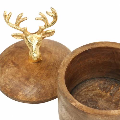 Floristik24 Scatola di legno di mango con testa di cervo dorata Ø10cm H15cm