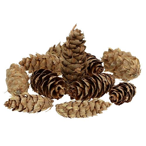 Prodotto Coni Douglas 1,3 kg