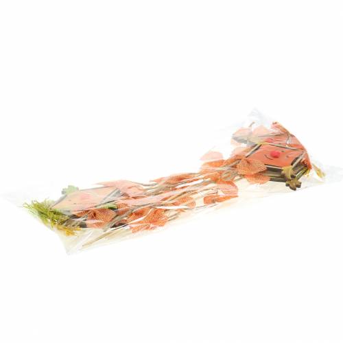 Floristik24 Spina decorativa drago 39,5 cm 6 pezzi