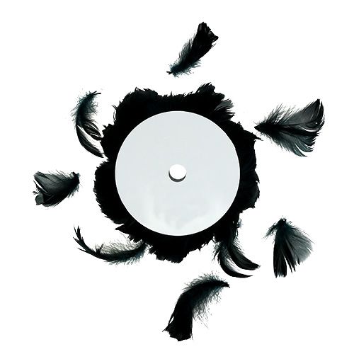 Floristik24 Filo con molla nera 10m