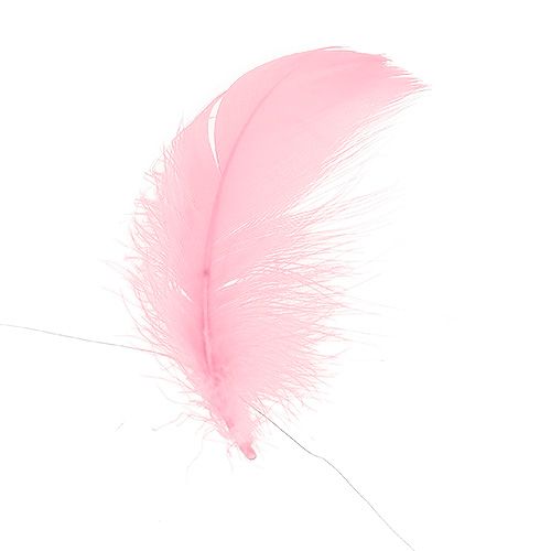 Floristik24 Filo con piume rosa chiaro 10m