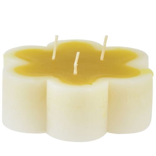Floristik24 Candela a tre stoppini candela floreale decorativa giallo bianco Ø11,5 cm H4 cm