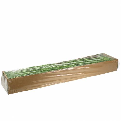 Floristik24 Jungle Muschio Verde Primavera 250g