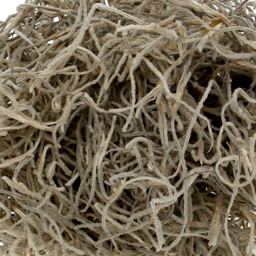 Floristik24 Muschio della giungla naturale 250g