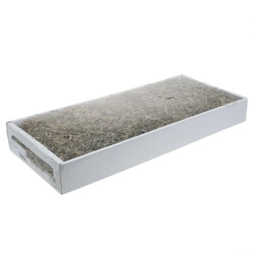 Floristik24 Muschio della giungla naturale 250g