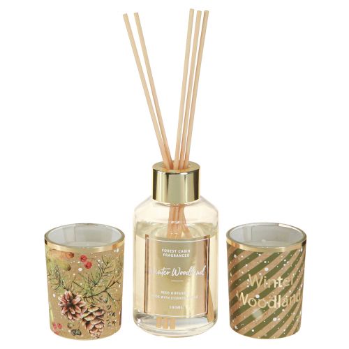 Floristik24 Candele profumate confezione regalo fragranza per ambienti Natale 16,5x6x21cm