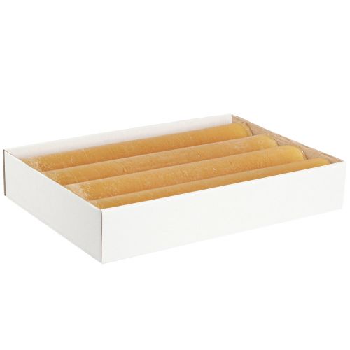 Prodotto Candele in tinta unita candele a bastoncino miele 50x300mm 4 pz