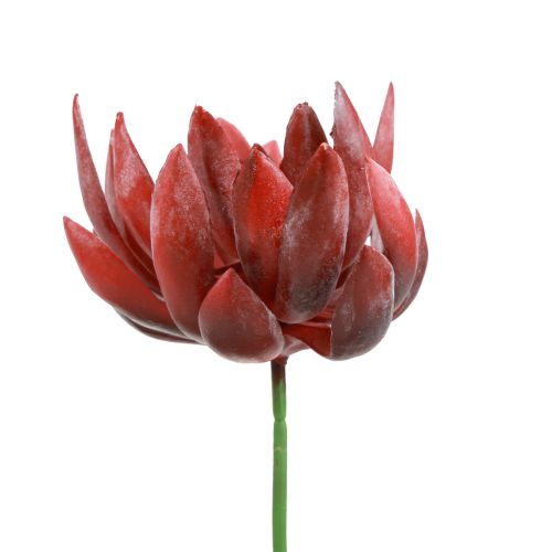 Piante verdi artificiali succulente Echeveria rosse Ø12 cm 19,5 cm
