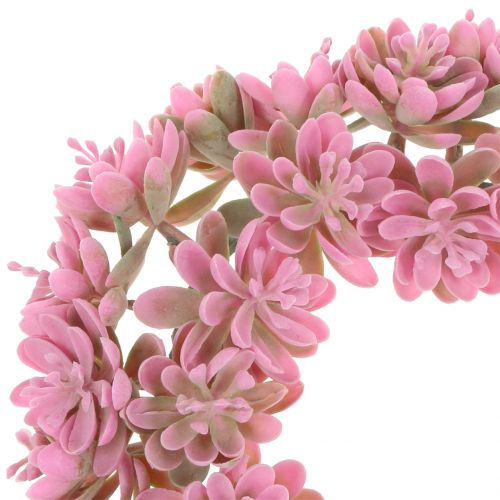 Floristik24 Echeverienkranz Rosa Ø18cm 4 pezzi
